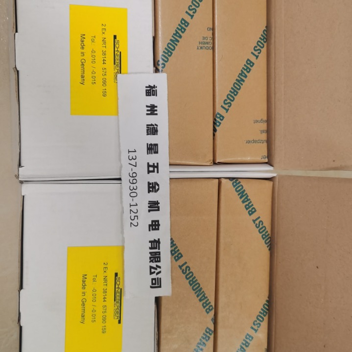 SCHNEEBERGER施耐博格直线滑块轴承NRT 38144