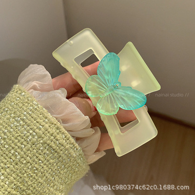 方形幻彩蝴蝶.jpg