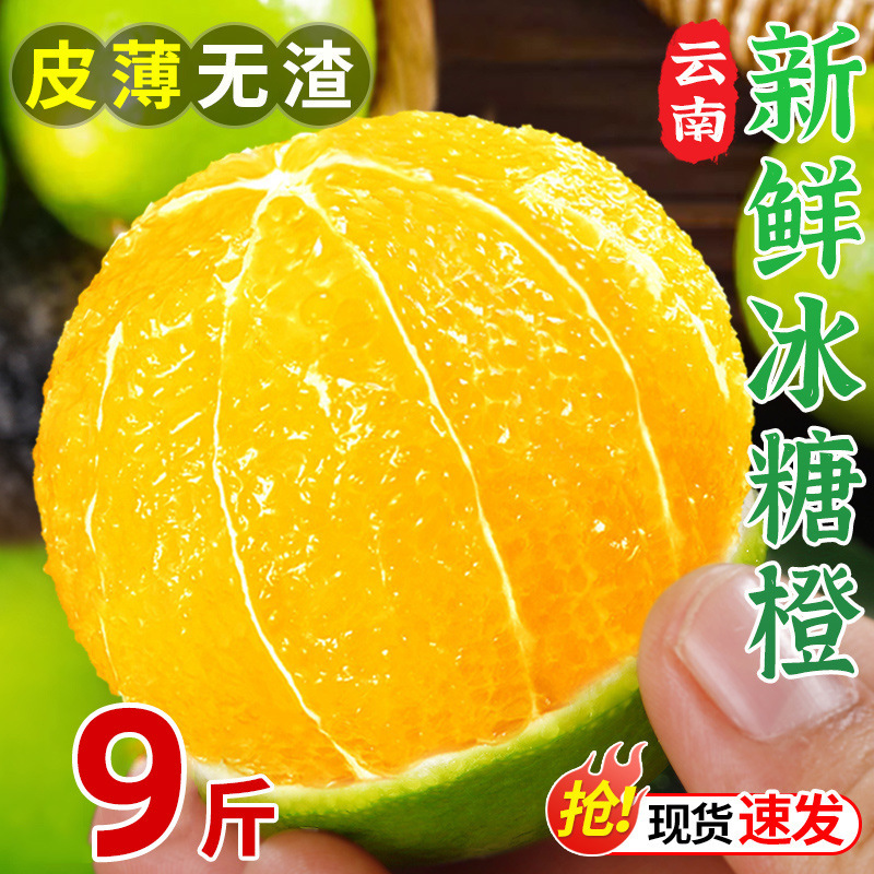 Yunnan Ailaoshan Sugar Orange, Green-Skin Orange, Seasonal Fresh Fruit, High Mountain Orange, Hand-Peeled Orange, Whole Box, Single-Piece Dropshipping Yunnan Ailaoshan Sugar Orange, Green-Skin Orange, Seasonal Fresh Fruit, High Mountain Orange, Hand-Peeled Orange, Whole Box, Single-Piece Dropshipping
