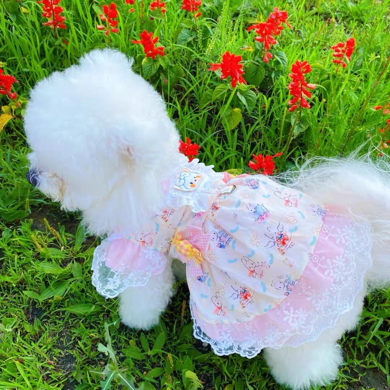 子犬服春夏薄い小型犬プリンセスドレスキャンディロリータ猫服かわいいクマ|undefined