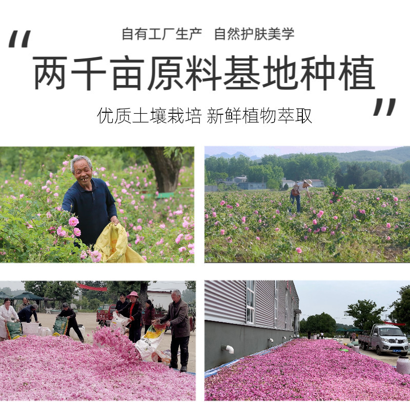 ダマスカスローズハイドロゾル保湿保湿トーニングエッセンスウォーター肌の色を明るくする花のつぼみエッセンシャルオイルエッセンス|undefined