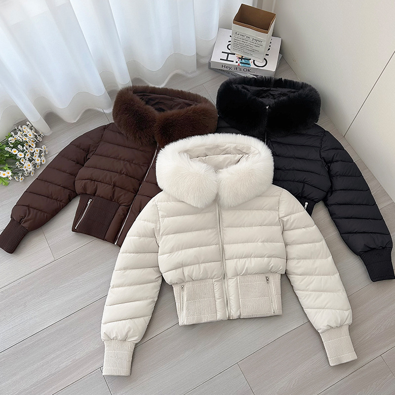 Otoño y invierno ins Europa y América cuello de lana ropa de algodón casual delgada cuello de lana de mujer abrigo de pluma con capuchón corto