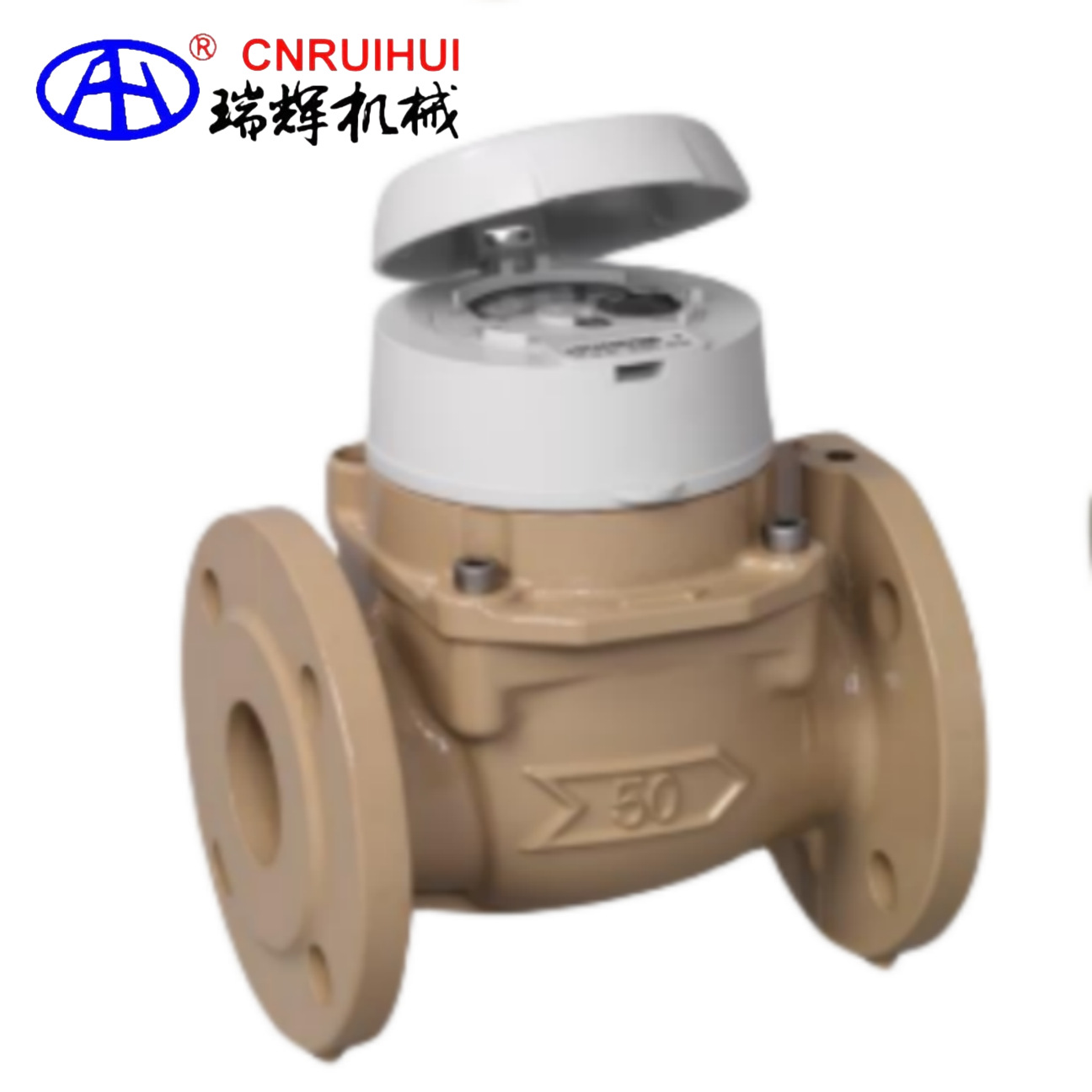 瑞辉牌  防腐蚀水表、防腐水表DN100