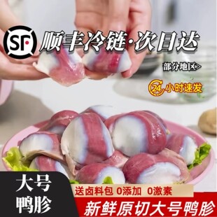 ����S���]���������r����������θ�������r������Ɵ����uζʳ��