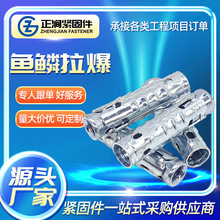 膨胀头螺丝杆组合拉爆头天花板吊顶膨胀螺栓穿山刺管类四片拉爆
