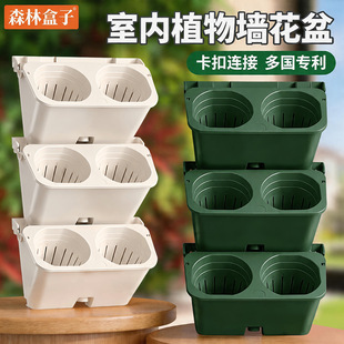 ��ֱ�G��ɭ�ֺ�������ˮ����䳲�������w�Ғ�ʽ�Nֲ��ֲ�����