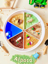 ���ϸй��躣��������ɳ�бP��ͯ�����������Α���ָ��бP�̾�