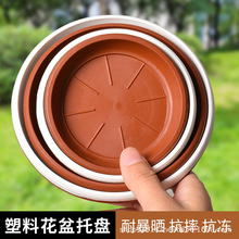 lɫ/tɫϻ ֲԻбPAбP