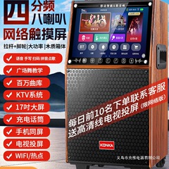 2025广场舞音响户外蓝牙音箱家用k歌带显示屏家庭ktv唱点歌一体机