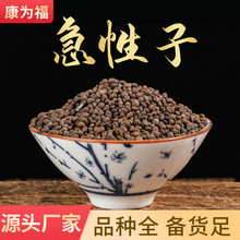 ������ �P�ɻ��� �P���� �����ӷ� ��ș�ļ����� �a�� ����ă�