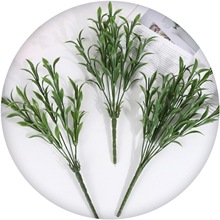 ����֦ܰ�ɷ��滨֦���������U���ϻ�֦���ĸ�H�������ٻ��U���l