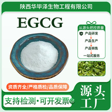 ������98%EGCG��]ʳ�Ӄ����؛]ʳ�������G����ȡ��ˮ��989-51-5