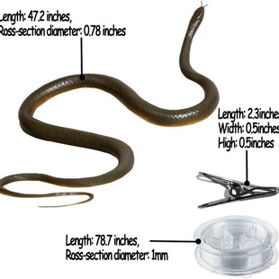 �羳���R�dSnake Prank with String and Clip���K�A���ߐ�������