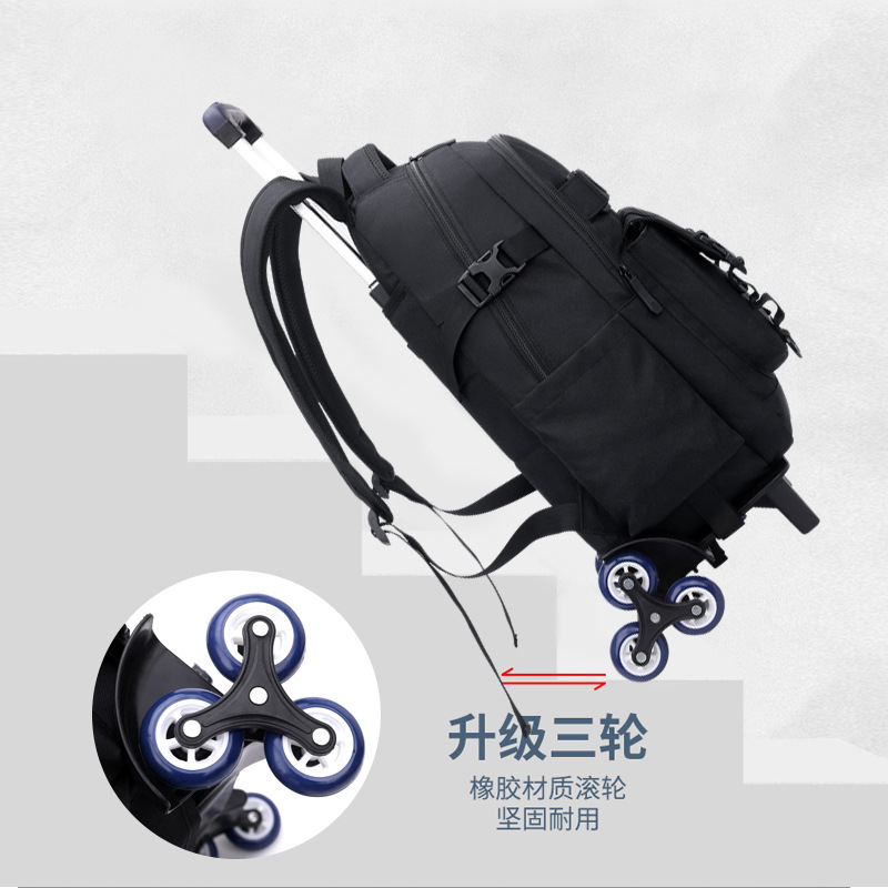 2022 Transfronteriza Popular pescado natural nueva bolsa de escuela primaria estudiante de grado 4-7 niño ligero entrega de una sola pieza