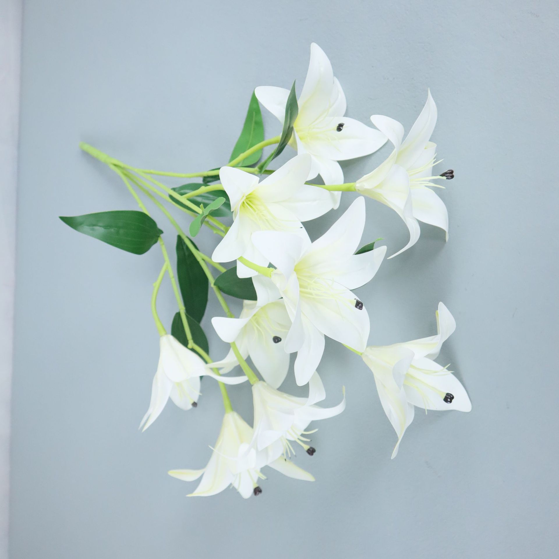 Blanco