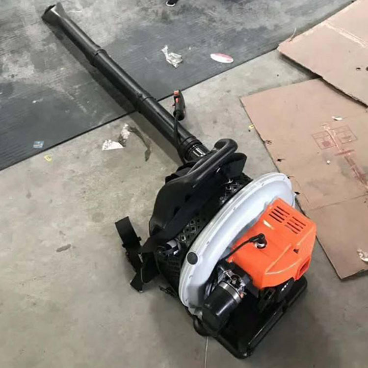 secador de pelo industrial secador de pelo de jardín secador de nieve eléctrico transfronterizo soplador de hojas soplador de litio carga de alta potencia