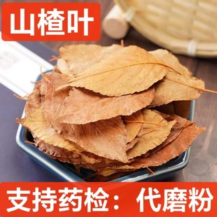 ɽ��~ ��ș�� ��ɽ��~ �o����؛�V�� ɽ��~ ֧��ș�z ��ĥ��