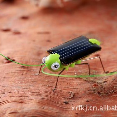Supply solar-powered grasshopper/cockroach/bug/grass fierce…