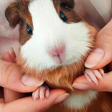 ������m������������û������������Ѵ�����Bֳ��ֱ�N���m��