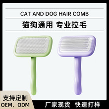 ﹷӱëëСȮël坍Ʒ