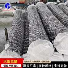 植被边坡绿化网植生菱形锚喷护坡网镀锌防护TBS植草网防护加固