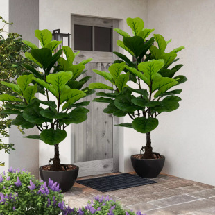 �S��ֱ�N�羳���R�d�������~��������k��������[�ŷ����Gֲ�٘�