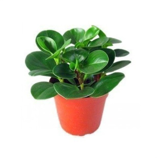 ����G����ֲ�������ļ��Gֲ�҃ȿ͏d����Gֲ����ˮ�໨�ܗd�ӻ�