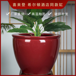 ������մɻ������ش�̖�Ƶ�ͬ����������҃����F��N��׾Gֲ