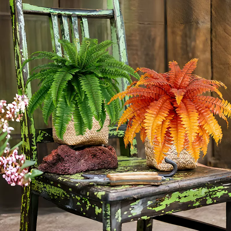 仿真蕨类植物大波斯草仿真草波斯蕨植物墙装饰壁挂