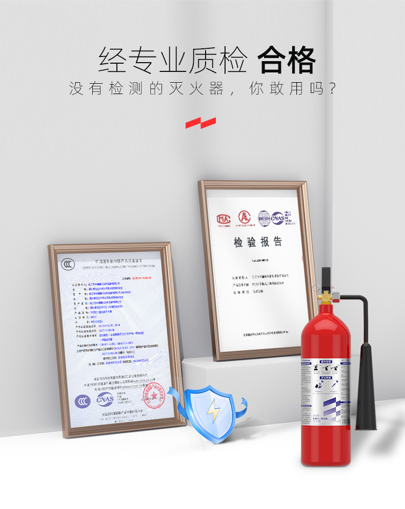 Yuanbang Carbon Dioxide Fire Extinguisher Water-Based Fire Extinguisher 2L3L6L Stainless Steel Foam Fire Extinguisher 25 Years New National Standard