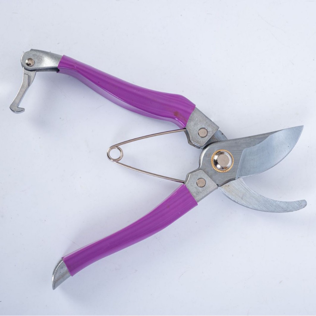 O1CN01oNwsFc1rj59OWXW0w_!!2217982725666-0-cib.jpg?__r__=1742205923402