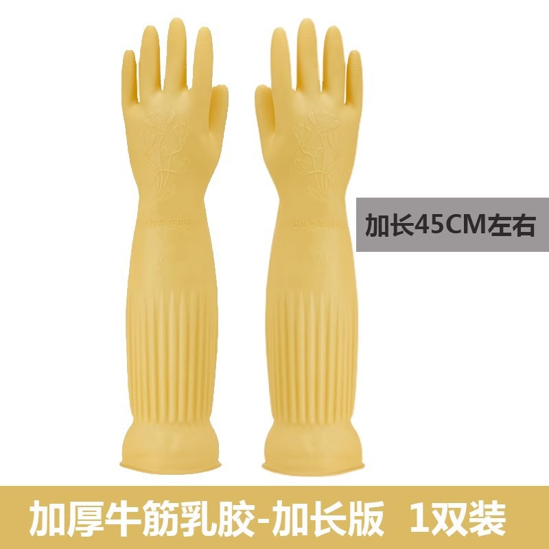 트루 컬러 45cm L 사이즈