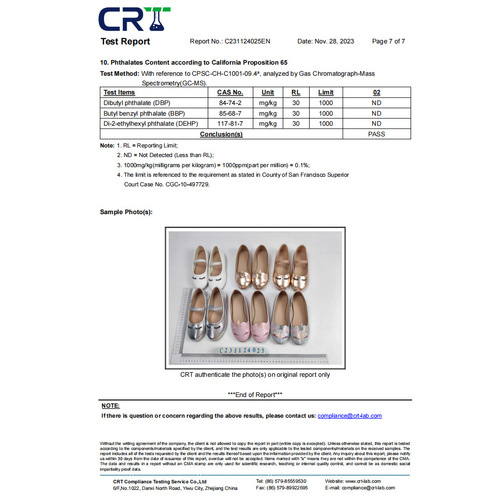 Fashionable and Cute Girls' Spring and Autumn Season Round-Eyed Performance Shoes, Korean Version All-Season Children's Princess Shoes