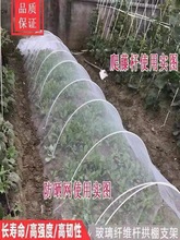 种菜棚架蔬菜温室种花保温农用小拱棚园艺菜地菜棚新型拱棚支架