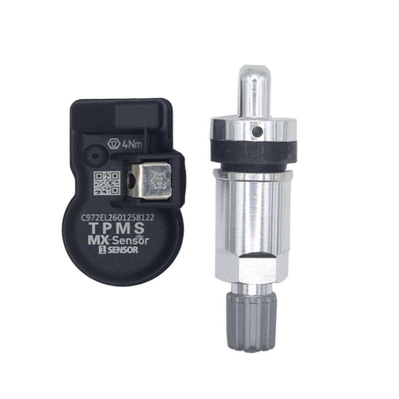 Sensor de presión de neumáticos programable TPMS, tipo universal, 315-433MHz, doble frecuencia, integrado, metal plateado, modelo antiguo