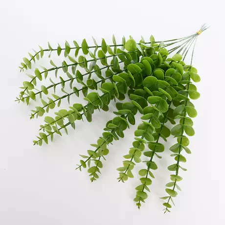 Light Green-Solid Single