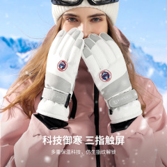 Men's Ski Gloves Winter Riding Cold Proof Anti-Freezing Fleece Thick Warm Electric Bike Touch Screen Cotton Gloves for Women in Winter