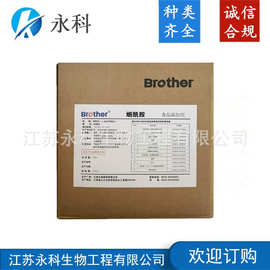 食品级烟酰胺 维生素B3 VB3 维生素 PP 营养强化剂 含量 99% 