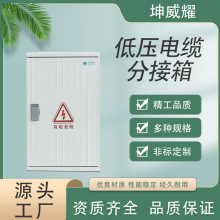 �͉���|�ֽ������T������������l�ǘˑ�����������S��