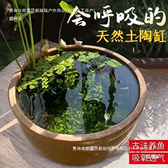 瓦缸储陶瓷养鱼法陶瓷大缸缸农村室外鱼缸庭院水土老式古造景水缸