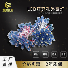 可调光led广告字母灯串12v 高亮户外发光灯箱 led灯穿孔外露灯