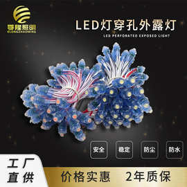 可调光led广告字母灯串12v 高亮户外发光灯箱 led灯穿孔外露灯