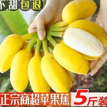 �V���O�����㽶��ŴƤ�����r����ˮ���������l���u���R�dԴ�^؛Դ