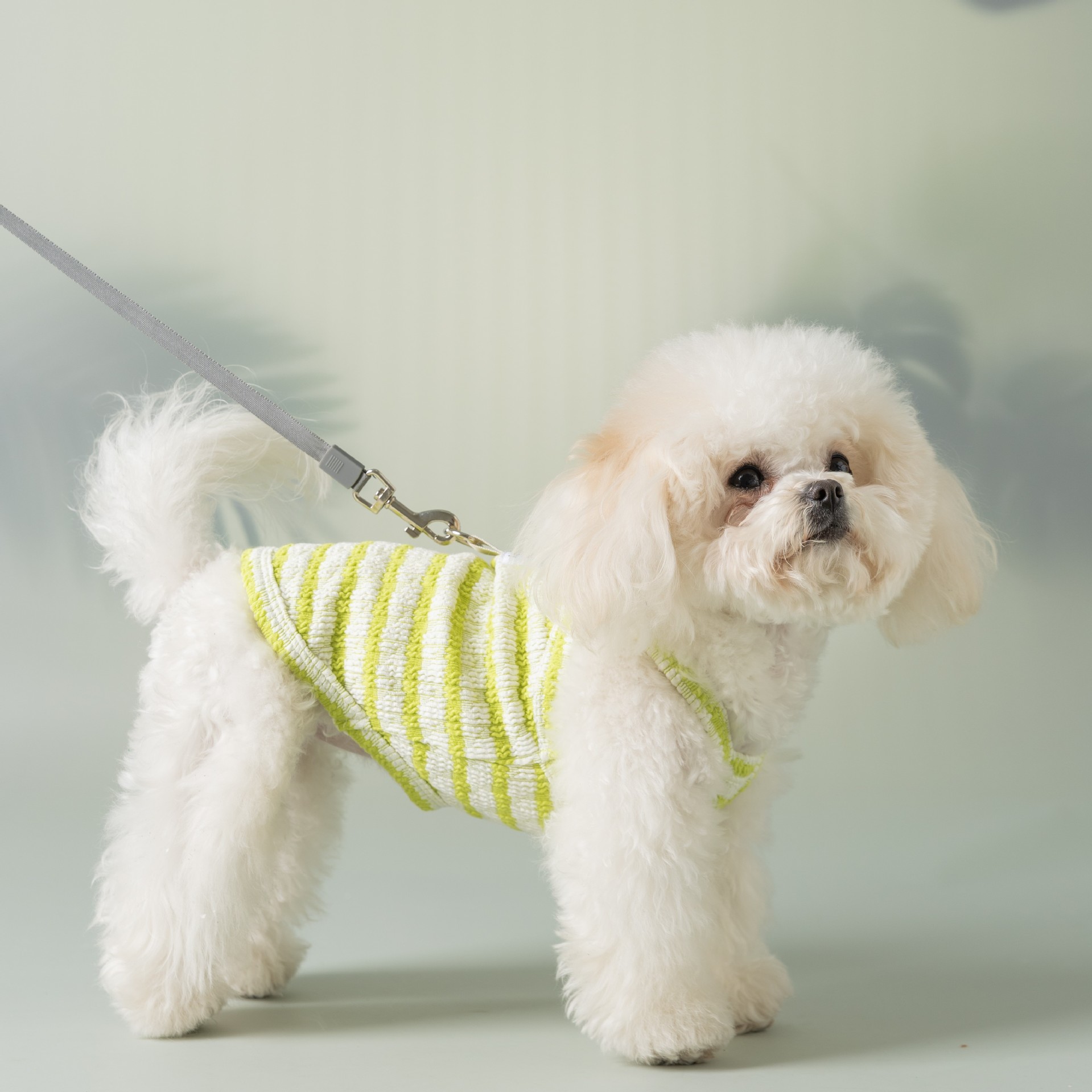 2025 nueva ropa de perros primavera y verano Teddy Bear Schnauzer perros mascotas delgadas de primavera