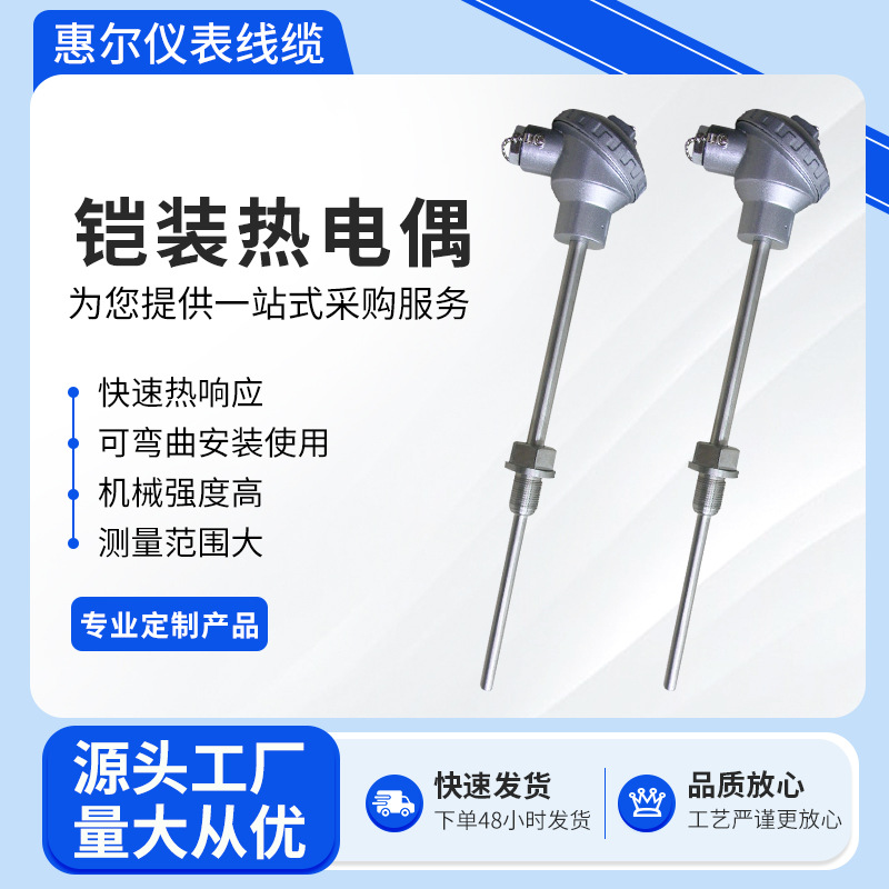 厂家直供铠装热电偶  WRNK-191 pt100温度传感器 多型号规格可选
