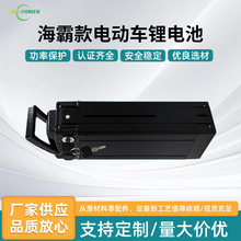電動車鋰電池定制銀魚海霸款代駕折疊電動自行車鋰電池48V電瓶