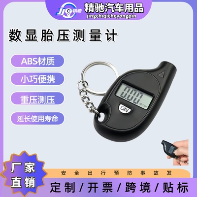Car Tire Pressure Gauge Mini Digital Display Electronic Tire Pressure Gauge Air Pressure Meter Keychain Tire Pressure Monitor (Air pressure gauge/tire pressure gauge)