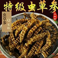 云南产野生虫草参 地参 地龙菜 泽兰根雪参干货 煲汤好料