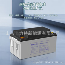 LEOCH��ʿ��늳� DJM1265S 12V65AH EPS�Դ UPS�Դ �߉������