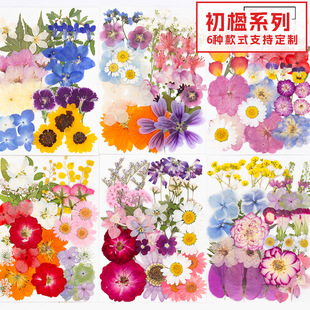 �ɻ��������ϰ�Ѻ���������z�ɻ��֙C�������ֹ�diy�滨ֲ��˱�